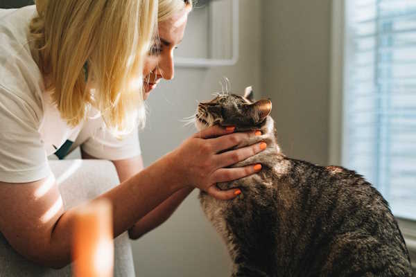 Woman looking at and holding cat